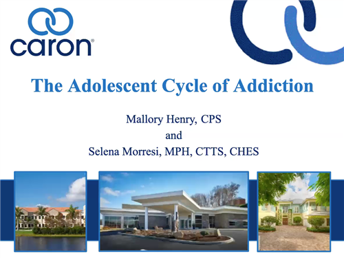 Caron Foundation - Cycle of Addiction  